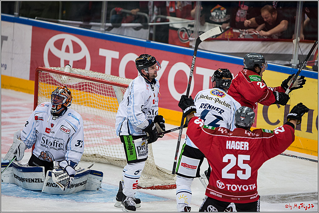 Koelner Haie - Straubing Tigers, 03.10.2016